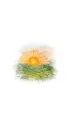 ccf08a00-3815-4166-b436-4e5b9212fa3d-562.5x1000-ZWN9UVaUYlal4jVZxPFhnVwXjD5hXsDDfvDSfibS.webp