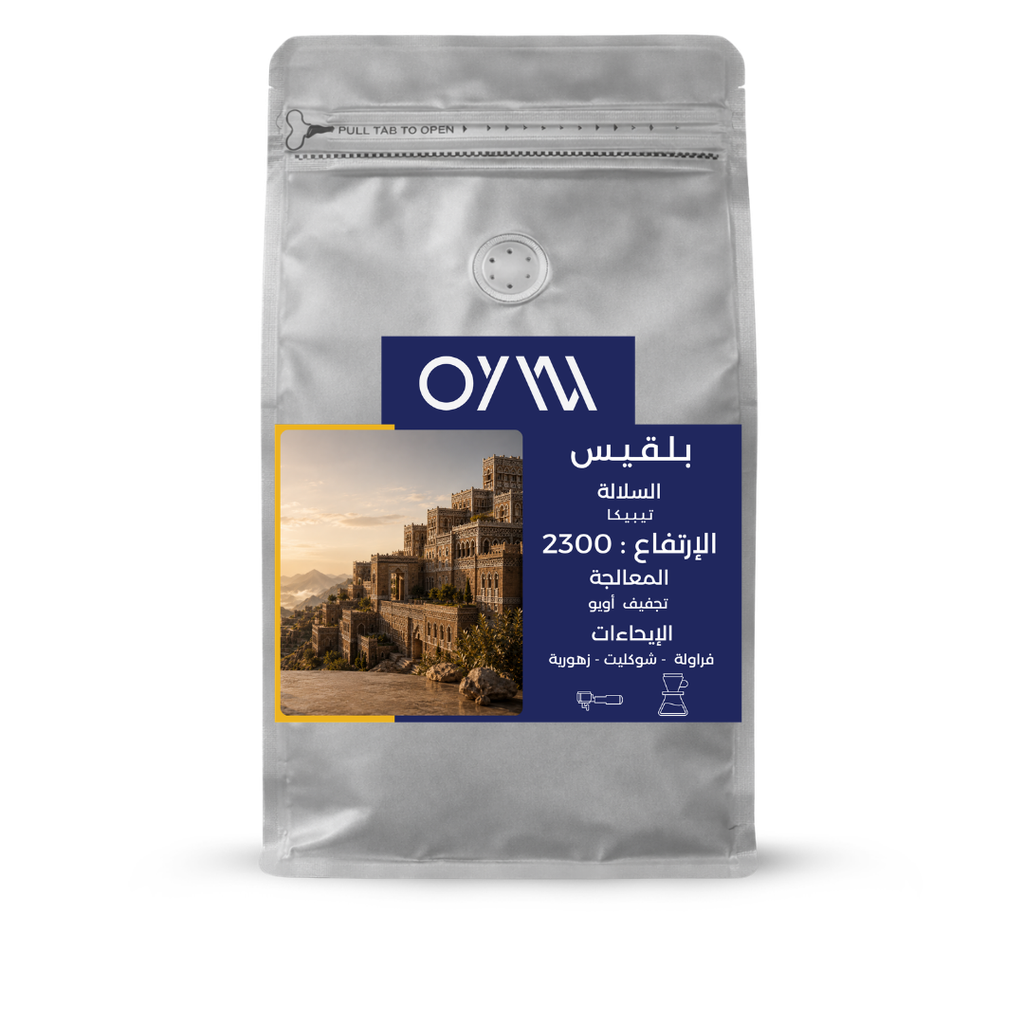 Bilqis - Yemen