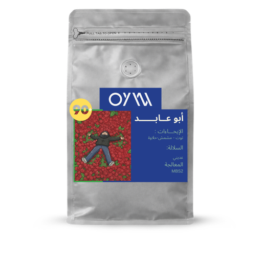 Abu Abed MBS2 - Yemen